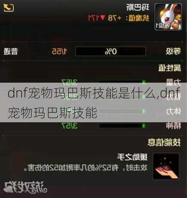 dnf宠物玛巴斯技能是什么,dnf宠物玛巴斯技能