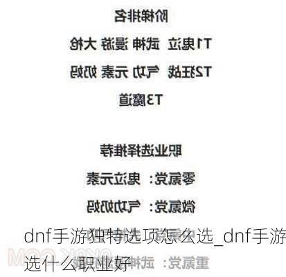 dnf手游独特选项怎么选_dnf手游选什么职业好