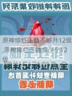 原神绯红玉髓不够升12级,原神绯红玉髓多少个12级