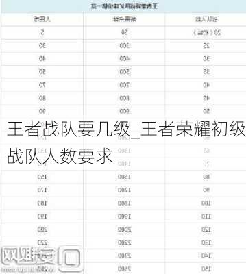 王者战队要几级_王者荣耀初级战队人数要求