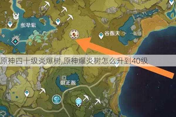 原神四十级炎爆树,原神爆炎树怎么升到40级