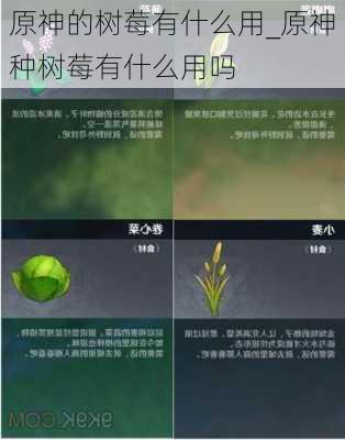 原神的树莓有什么用_原神种树莓有什么用吗