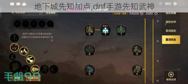 地下城先知加点,dnf手游先知武神