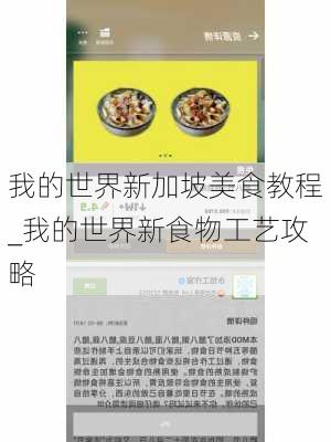 我的世界新加坡美食教程_我的世界新食物工艺攻略