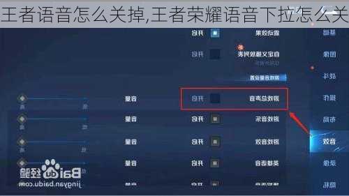 王者语音怎么关掉,王者荣耀语音下拉怎么关