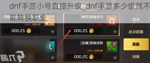 dnf手游小号直接升级_dnf手游多少级就不能转换职业
