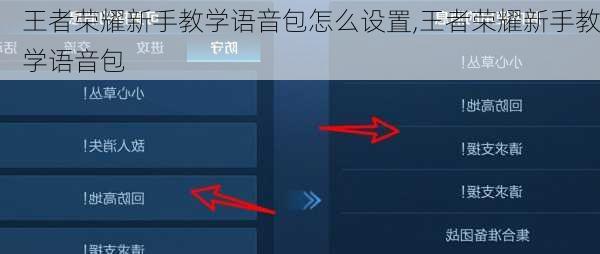 王者荣耀新手教学语音包怎么设置,王者荣耀新手教学语音包