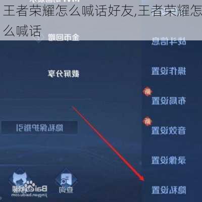 王者荣耀怎么喊话好友,王者荣耀怎么喊话