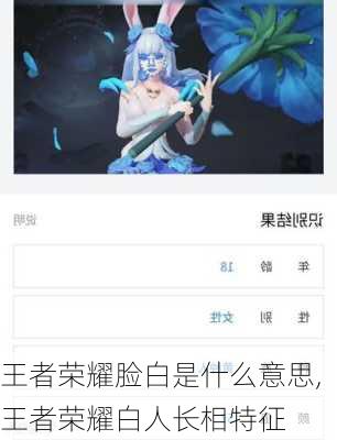 王者荣耀脸白是什么意思,王者荣耀白人长相特征