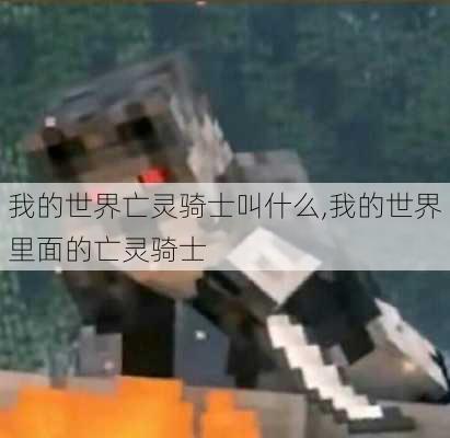 我的世界亡灵骑士叫什么,我的世界里面的亡灵骑士