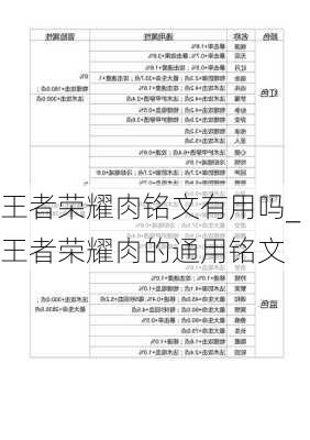 王者荣耀肉铭文有用吗_王者荣耀肉的通用铭文