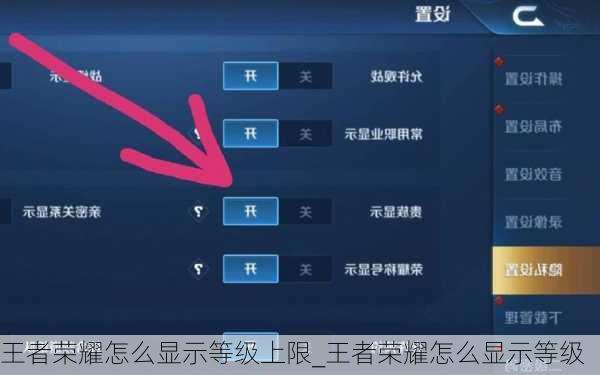 王者荣耀怎么显示等级上限_王者荣耀怎么显示等级