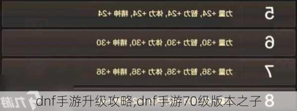 dnf手游升级攻略,dnf手游70级版本之子