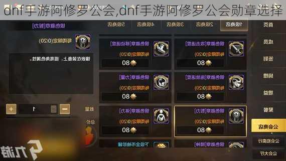 dnf手游阿修罗公会,dnf手游阿修罗公会勋章选择