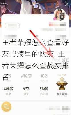 王者荣耀怎么查看好友战绩里的队友_王者荣耀怎么查战友排名