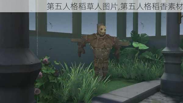 第五人格稻草人图片,第五人格稻香素材