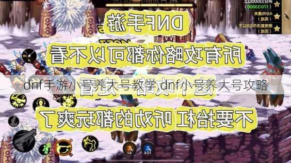 dnf手游小号养大号教学,dnf小号养大号攻略