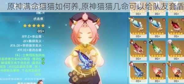 原神满命猫猫如何养,原神猫猫几命可以给队友套盾