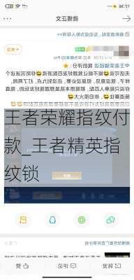 王者荣耀指纹付款_王者精英指纹锁