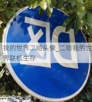 我的世界二哈头像_二哈我的世界联机生存