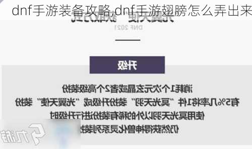 dnf手游装备攻略,dnf手游翅膀怎么弄出来