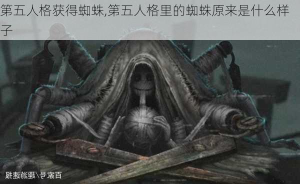 第五人格获得蜘蛛,第五人格里的蜘蛛原来是什么样子