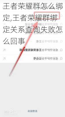 王者荣耀群怎么绑定,王者荣耀群绑定关系查询失败怎么回事
