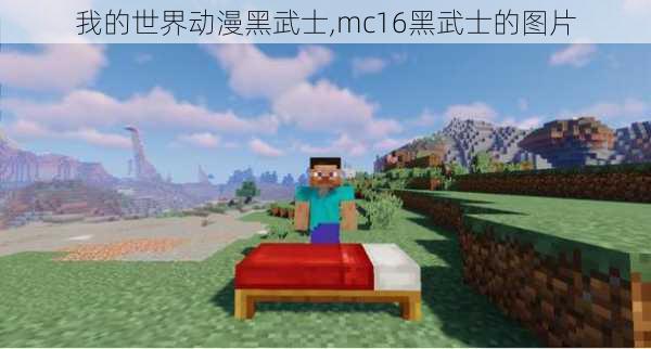 我的世界动漫黑武士,mc16黑武士的图片