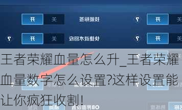 王者荣耀血量怎么升_王者荣耀血量数字怎么设置?这样设置能让你疯狂收割!