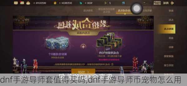 dnf手游导师套值得买吗,dnf手游导师币宠物怎么用