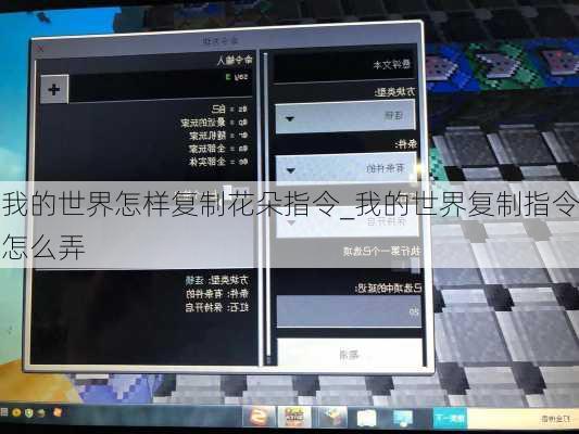 我的世界怎样复制花朵指令_我的世界复制指令怎么弄