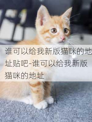 谁可以给我新版猫咪的地址贴吧-谁可以给我新版猫咪的地址