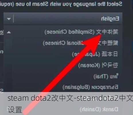 steam dota2改中文-steamdota2中文设置