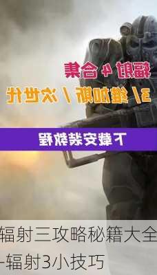 辐射三攻略秘籍大全-辐射3小技巧