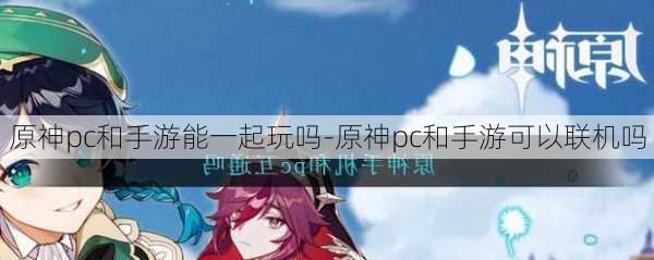 原神pc和手游能一起玩吗-原神pc和手游可以联机吗