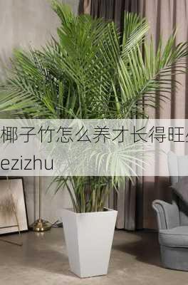 椰子竹怎么养才长得旺盛-yezizhu