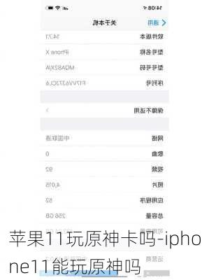 苹果11玩原神卡吗-iphone11能玩原神吗