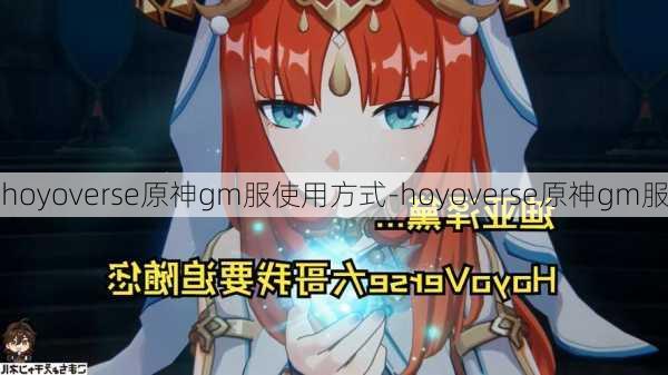 hoyoverse原神gm服使用方式-hoyoverse原神gm服