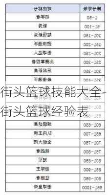 街头篮球技能大全-街头篮球经验表