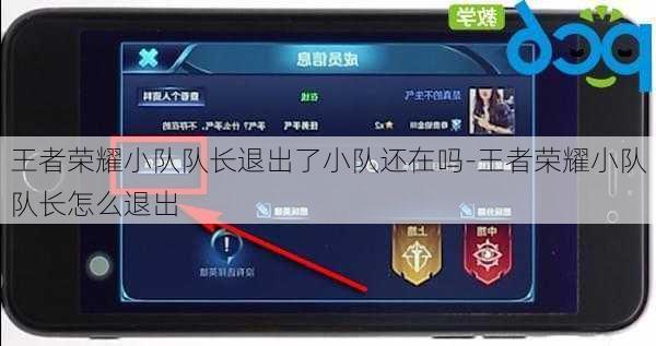 王者荣耀小队队长退出了小队还在吗-王者荣耀小队队长怎么退出
