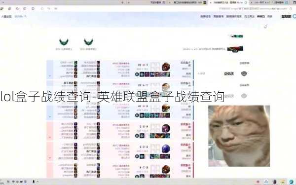 lol盒子战绩查询-英雄联盟盒子战绩查询