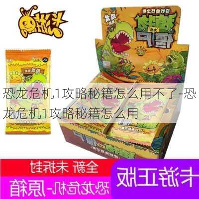 恐龙危机1攻略秘籍怎么用不了-恐龙危机1攻略秘籍怎么用