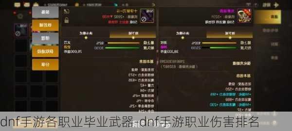 dnf手游各职业毕业武器-dnf手游职业伤害排名