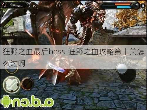 狂野之血最后boss-狂野之血攻略第十关怎么过啊