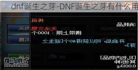 dnf诞生之芽-DNF诞生之芽有什么用