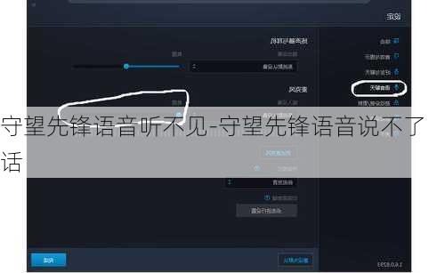 守望先锋语音听不见-守望先锋语音说不了话