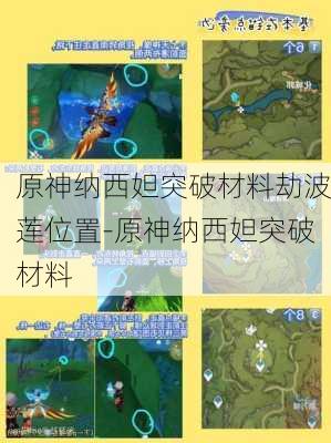 原神纳西妲突破材料劫波莲位置-原神纳西妲突破材料