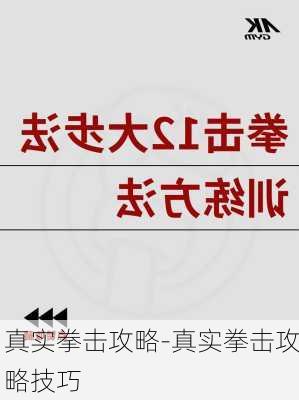 真实拳击攻略-真实拳击攻略技巧