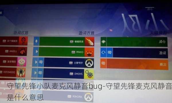 守望先锋小队麦克风静音bug-守望先锋麦克风静音是什么意思