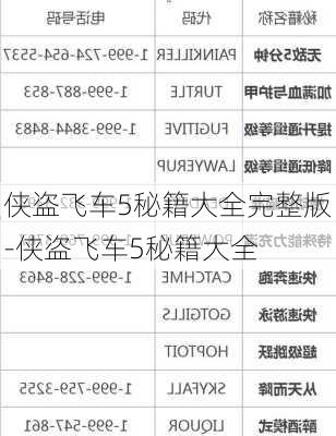 侠盗飞车5秘籍大全完整版-侠盗飞车5秘籍大全